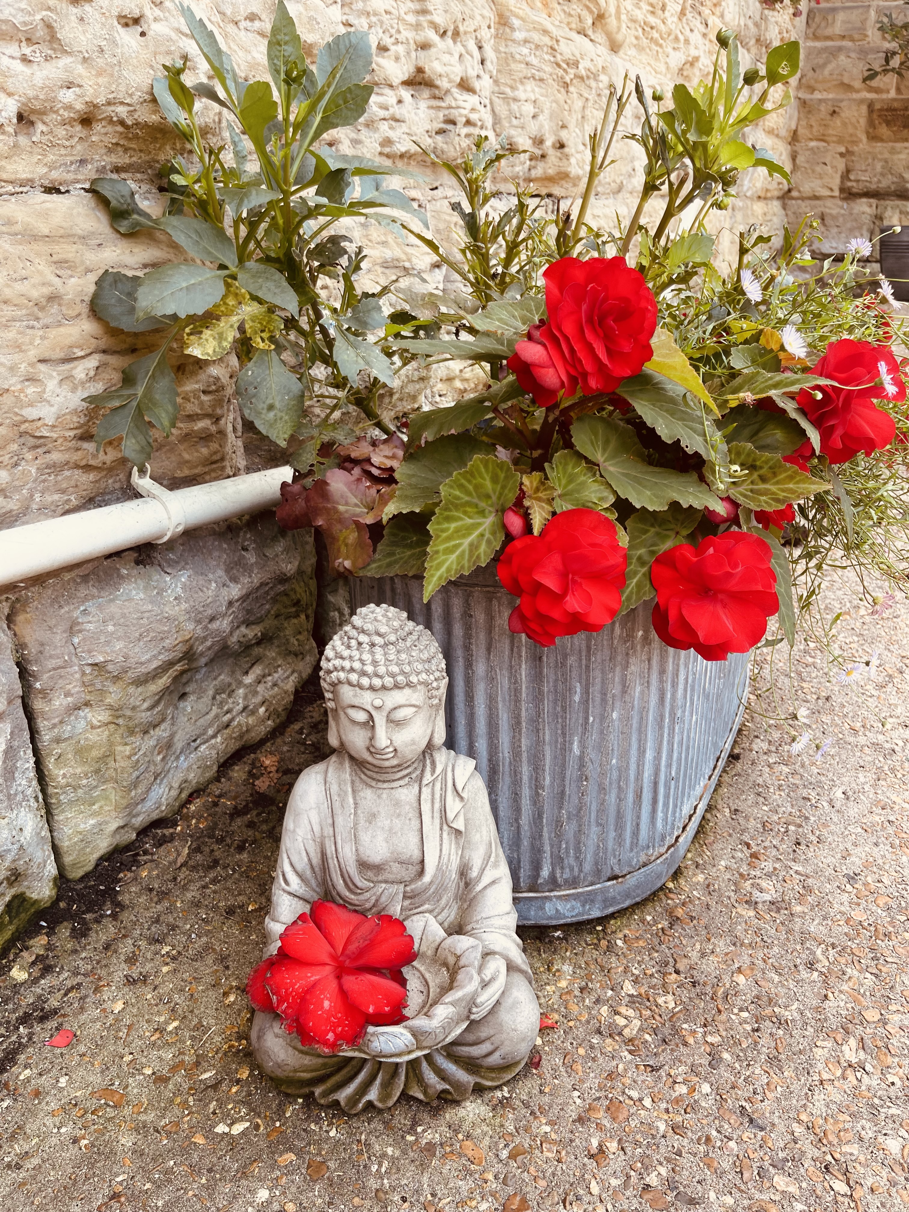 A peaceful Buddha statue and vibrant flowers in the clinic garden