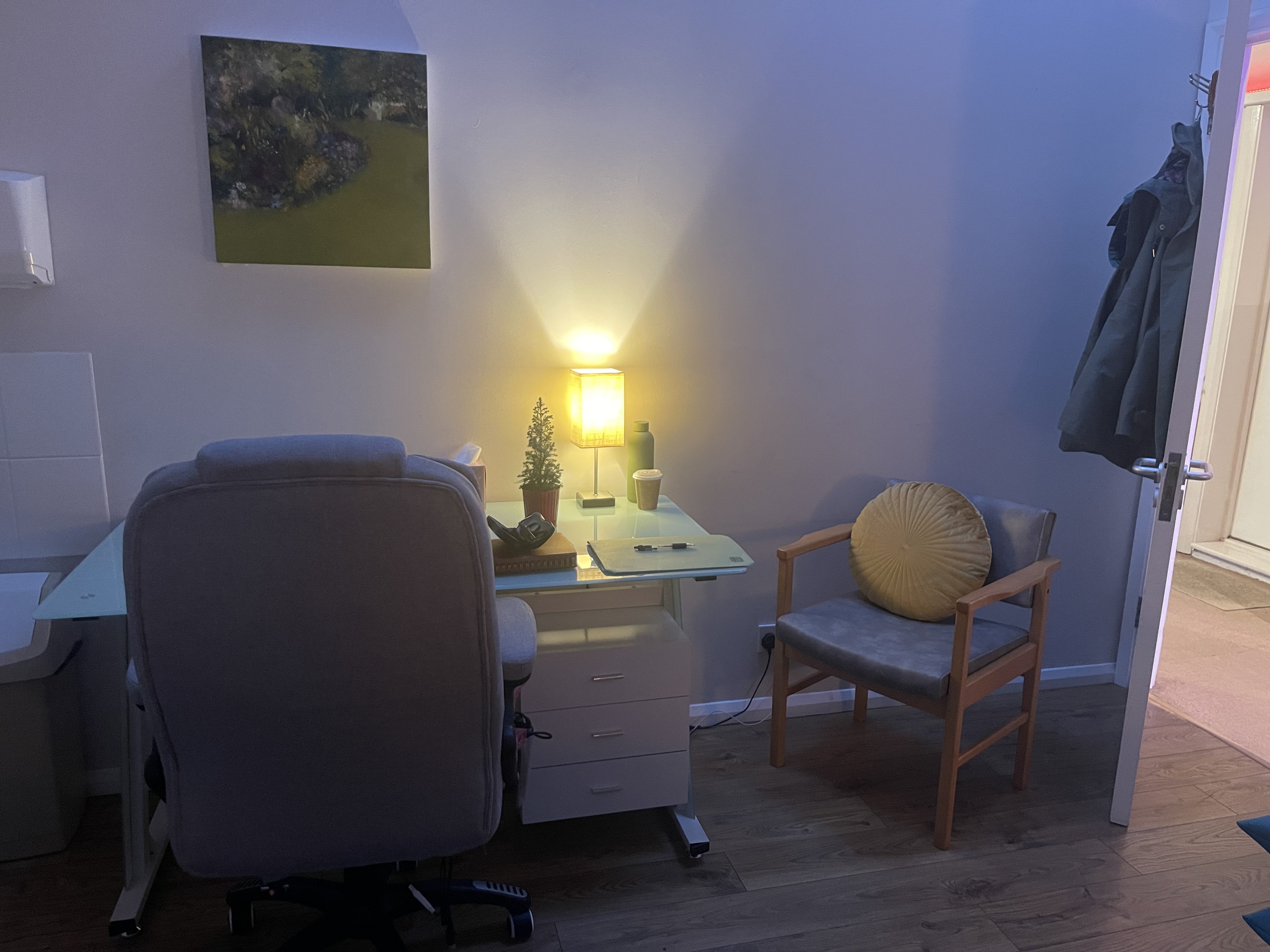 The tranquil therapy room